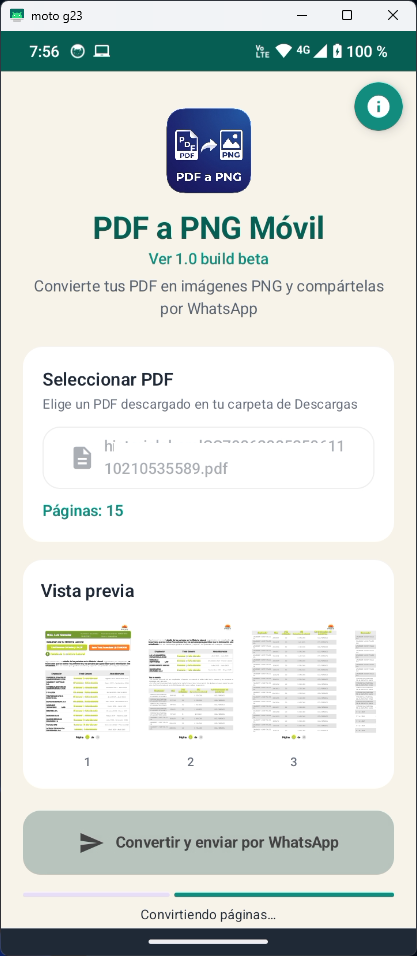 Captura de pantalla PDF a PNG 2